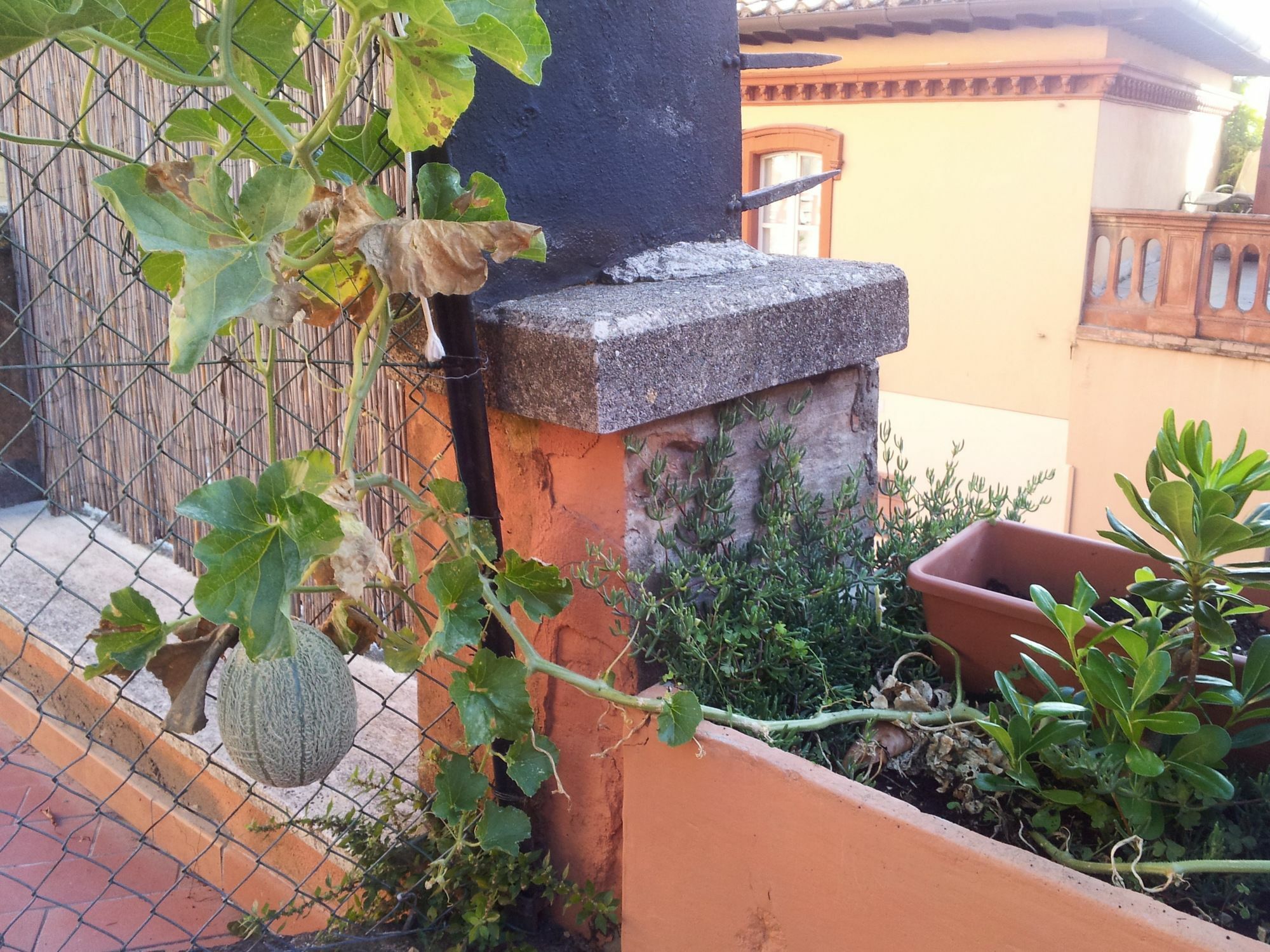 Al Giardino Di Alice Bed & Breakfast Perugia Exterior photo